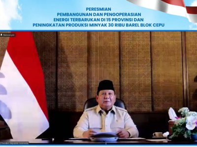Presiden Resmikan 47 PLTS, 5.383 Rumah Tangga di Wilayah 3T Kini Nikmati Listrik Bersih