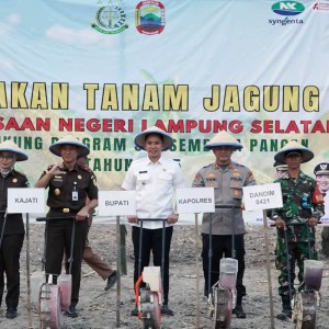 Bukti! Bupati dan Kajati Lampung Tanam Perdana Jagung di Kalianda, Dorong Ketahanan Pangan dan Pendampingan Petani