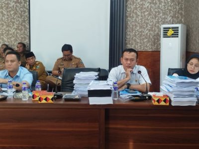 Ketua Komisi I DPRD Lamsel Desa Pemerintah Agar Prioritakan Infrastruktur Pendidikan dan Akses Jalan Dalam APBD P TA 2025