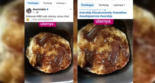 Menu MBG di SDN 1 Karang Agung Ditemukan Belatung, Orang Tua Murid Resah!