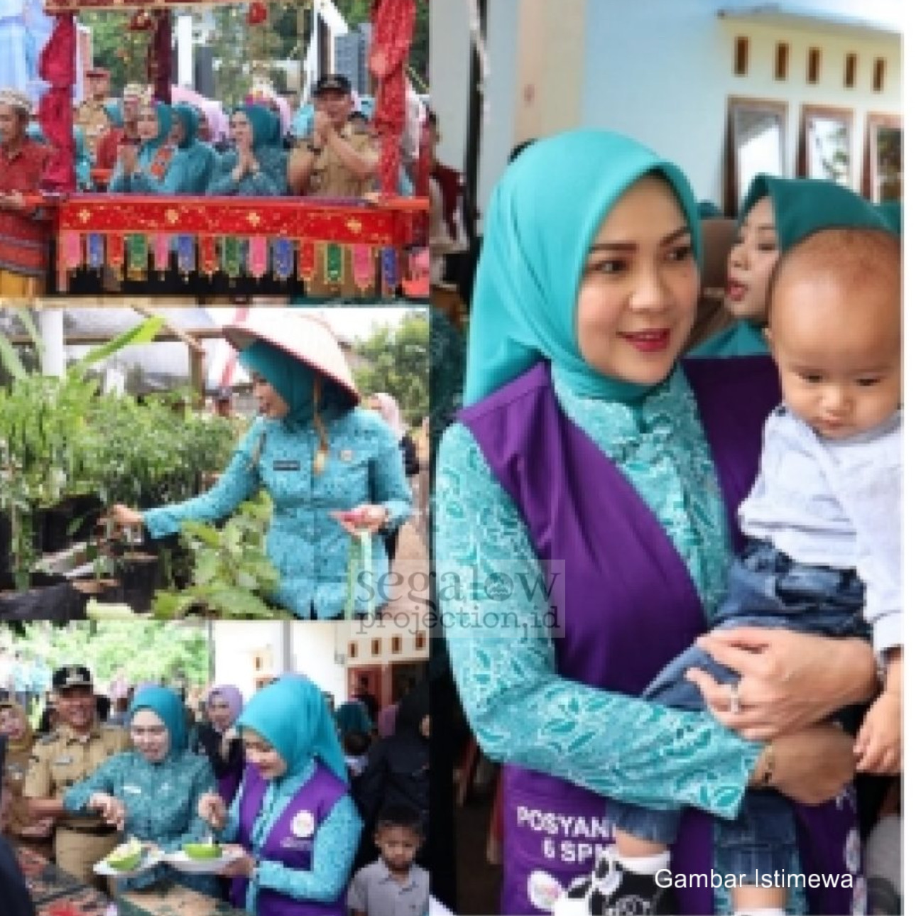 Batin Wulan Canangkan Desa TAPIS: Gerakan Keluarga Tangguh Menuju Indonesia Emas