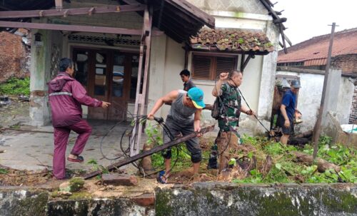 Sigap di Tengah Badai: Babinsa Kodim 0410/KBL Bergerak Cepat Tangani Dampak Cuaca Ekstrem di Bandar Lampung