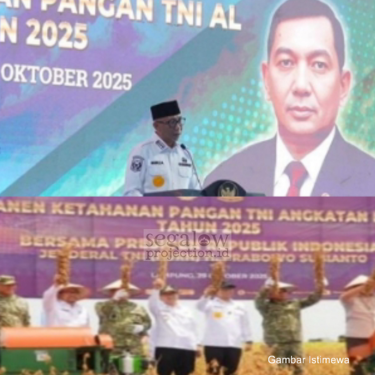 Lampung Panen Kedelai! Simbol Kedaulatan Pangan Nasional di Bawah Kepemimpinan Prabowo
