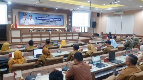 Pemkab Lampung Selatan Perkuat Transparansi Pelayanan Publik Lewat Sosialisasi SP4N-LAPOR
