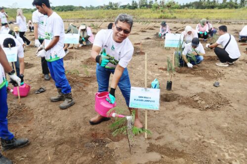 Hari Menanam Pohon Indonesia 2025, PLN Group Provinsi Lampung Tanam Seribu Pohon Energi