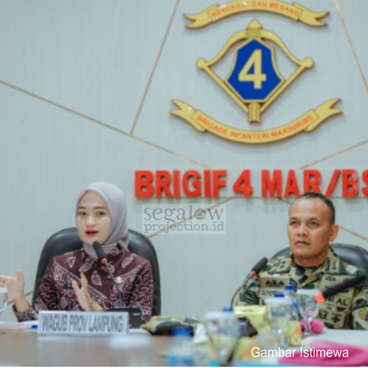 Lampung Kejar Eliminasi Malaria 2030, Fokus Utama di Pesawaran yang Masih Endemis