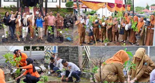 Ribuan PPPK Paruh Waktu Lampung Selatan Tanam Pohon Serentak, Gaungkan Kampanye “Pohon Asuh”