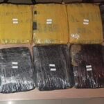 Polda Metro Jaya Tangkap 3 Pengedar, Sita 15,5 Kg Ganja di Tanah Abang dan Pamulang